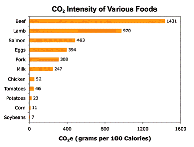 energy-efficiency-foods